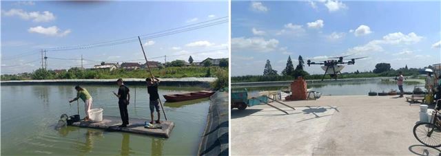 19511947064343162_33.jpg 19511947064343162_33.jpg