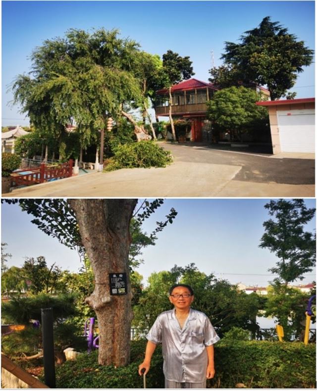 17092972877446144_33.jpg 17092972877446144_33.jpg