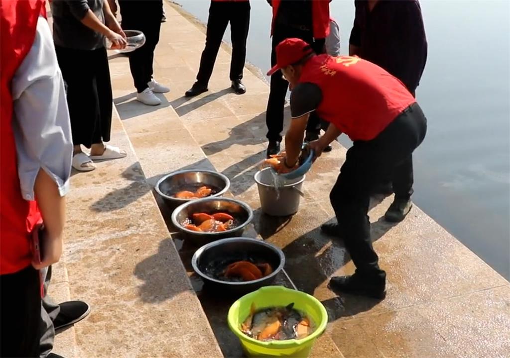 江西德兴新营街道：开展增殖放流 促进生态