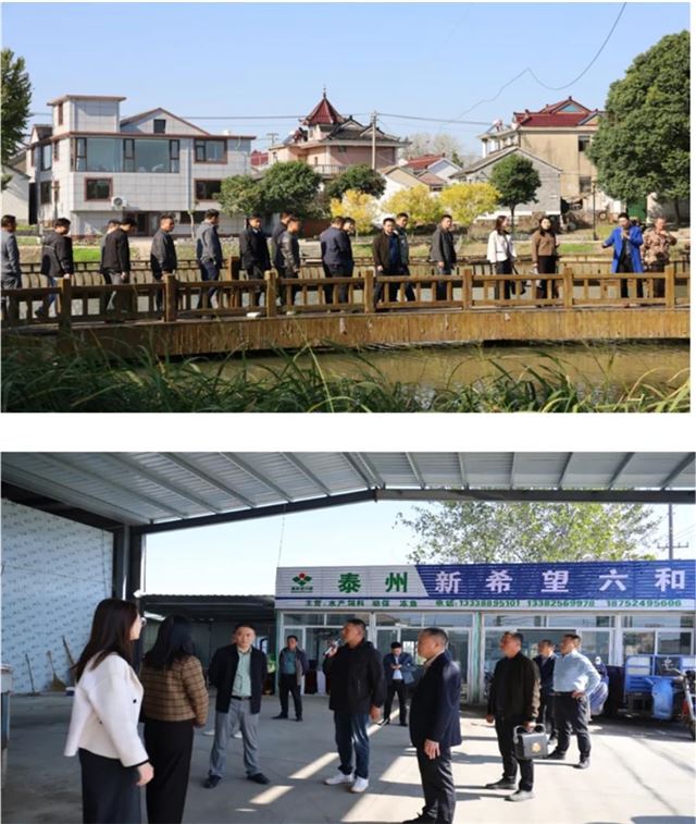 11532895264161198_33.jpg 11532895264161198_33.jpg