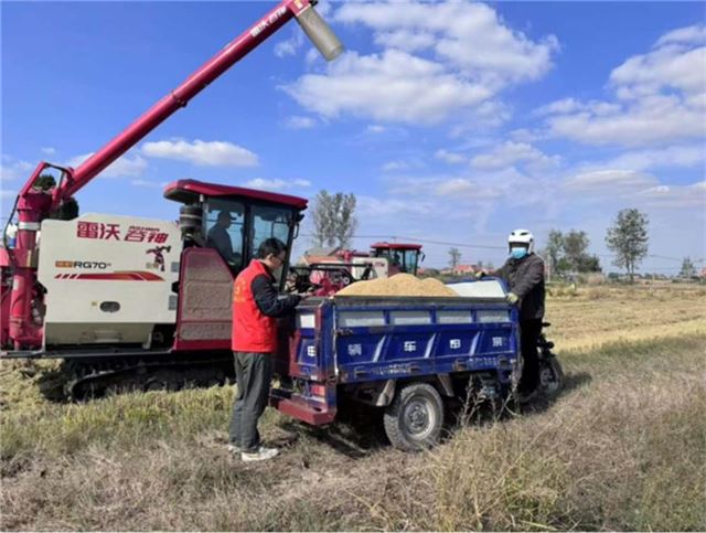 14490579866310940_33.jpg 14490579866310940_33.jpg