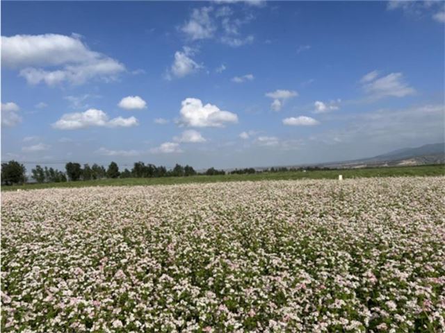 2044409899855183_33.jpg 2044409899855183_33.jpg