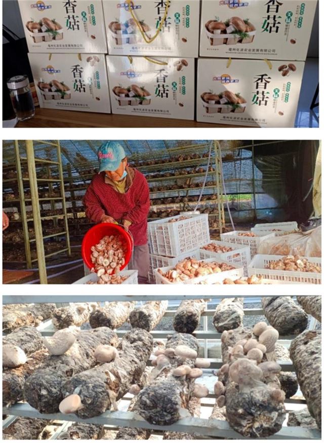 16224581987990500_33.jpg 16224581987990500_33.jpg