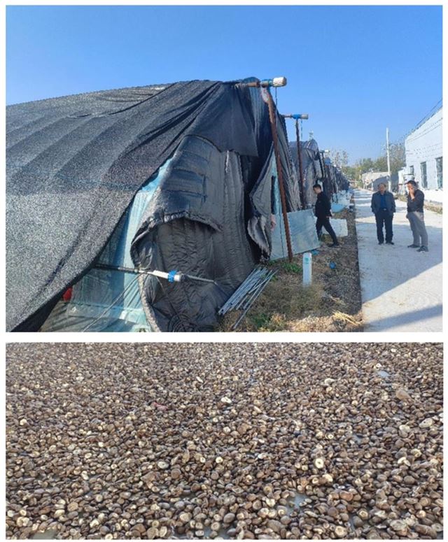 16231588404712705_33.jpg 16231588404712705_33.jpg