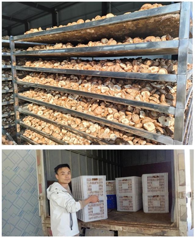 16234935435241111_33.jpg 16234935435241111_33.jpg