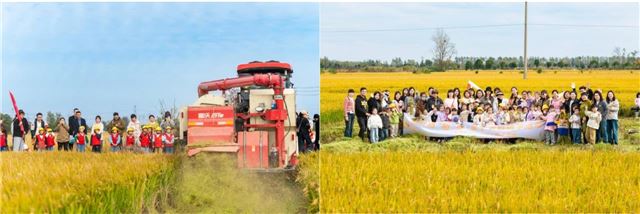 16392367057280694_33.jpg 16392367057280694_33.jpg