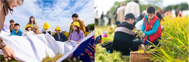 16400070386598792_33.jpg 16400070386598792_33.jpg