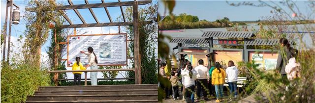 16420794409223047_33.jpg 16420794409223047_33.jpg