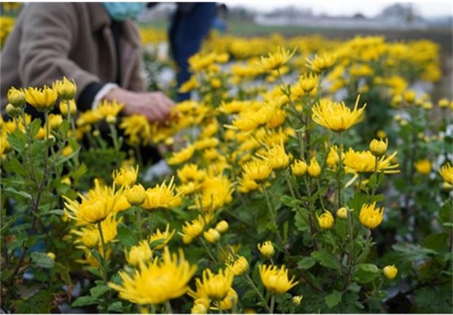 1547307035452464_33.jpg 1547307035452464_33.jpg