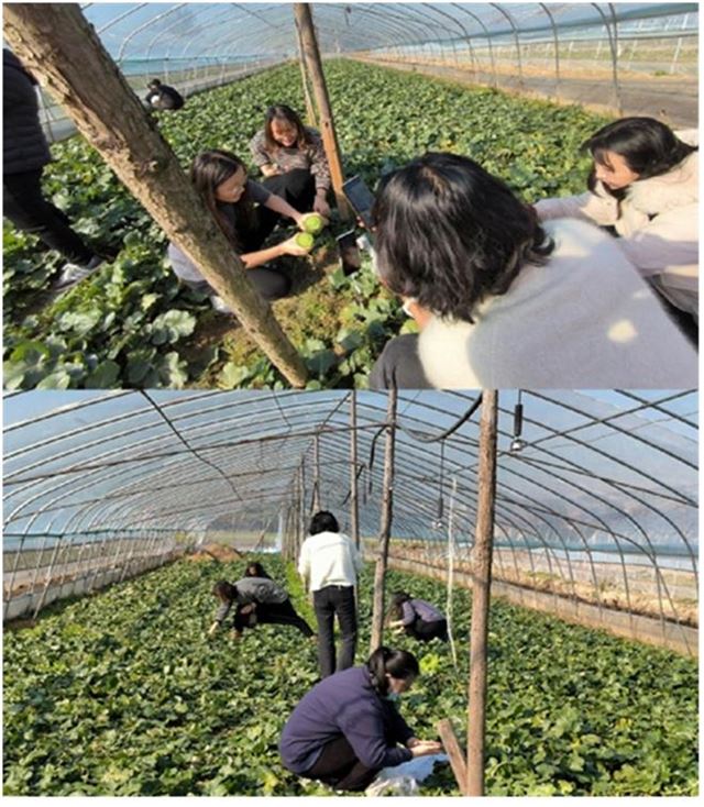 14144869926859406_33.jpg 14144869926859406_33.jpg