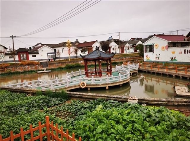 16463860269512664_33.jpg 16463860269512664_33.jpg