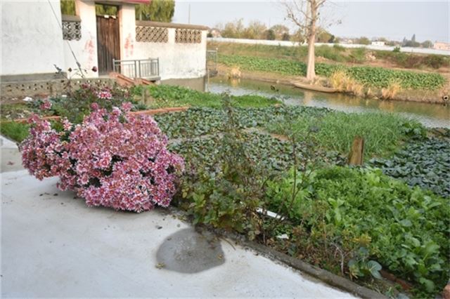 16473266725939308_33.jpg 16473266725939308_33.jpg