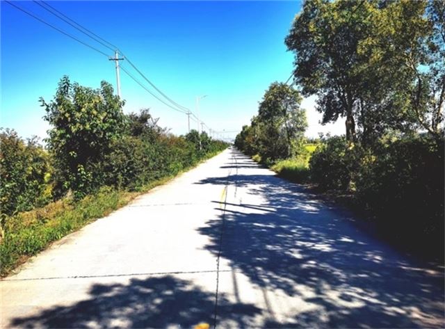 16484840512351861_33.jpg 16484840512351861_33.jpg