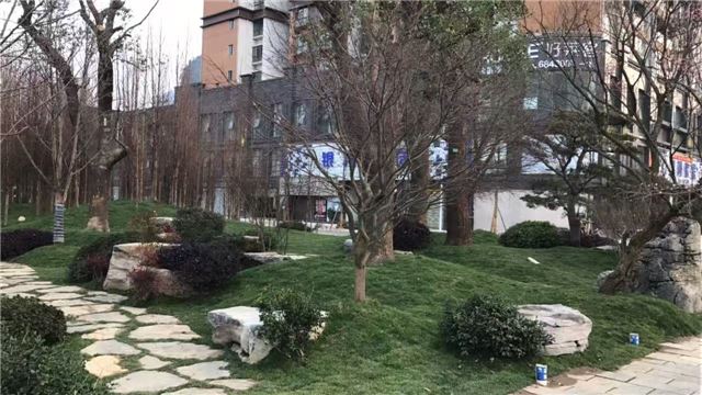 11454510594982745_33.jpg 11454510594982745_33.jpg