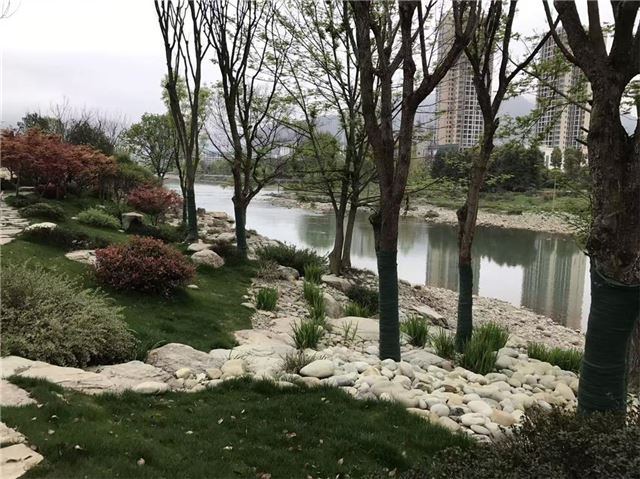 11455890325962146_33.jpg 11455890325962146_33.jpg